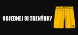 icon13