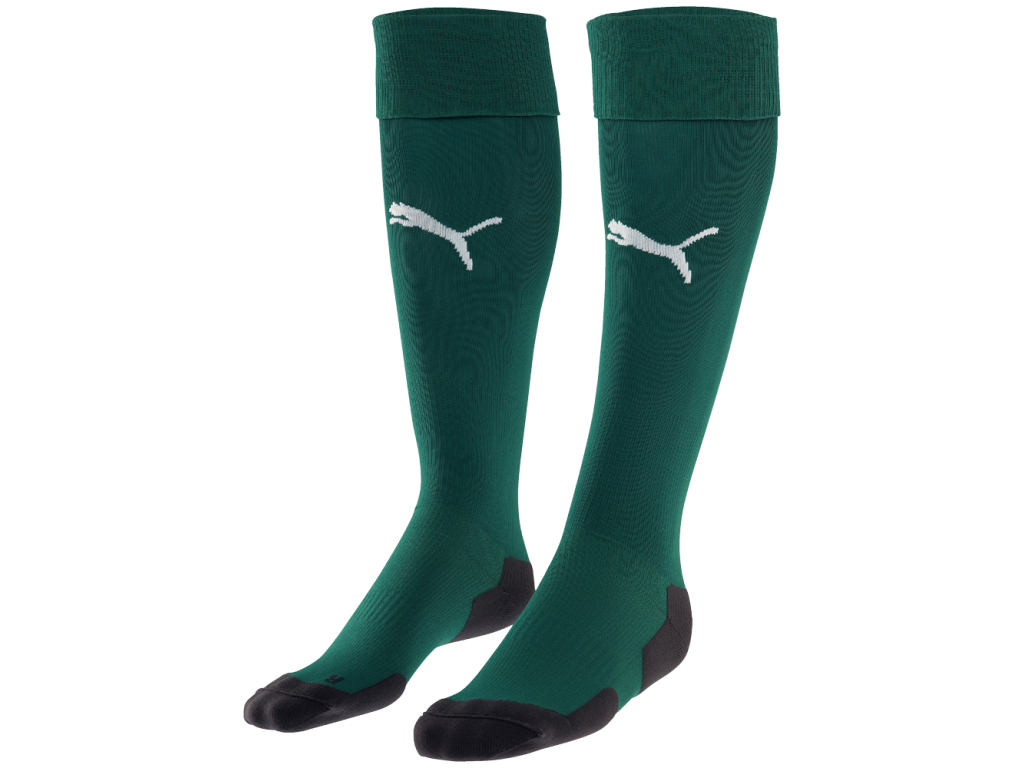 Puma Football Socks zelená/bílá EU 39/42