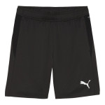 Tréninkové trenky Puma teamGOAL