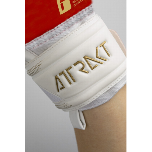 Brankářské rukavice Reusch Attrakt Freegel Silver