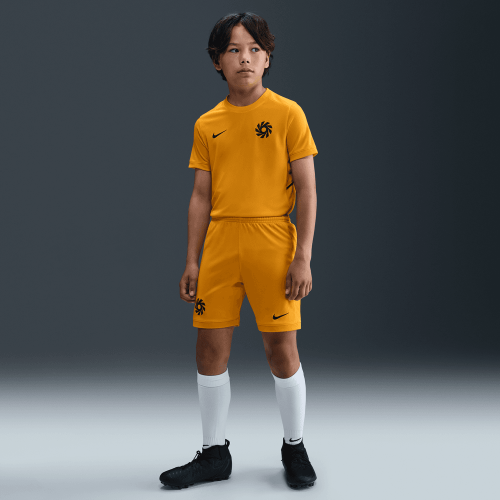 Dětský tréninkový dres Nike Erling Haaland Academy 25