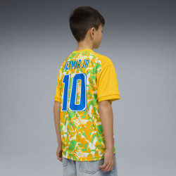 Dětský tréninkový dres Puma Neymar JR Brazil Passion