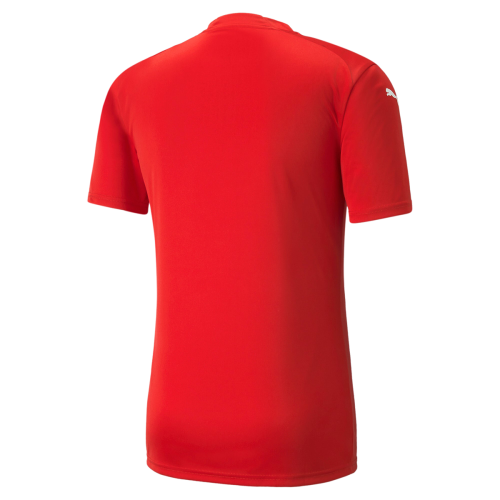 Dres Puma teamGLORY