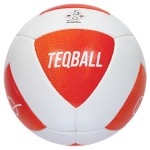 Míč na Teqball