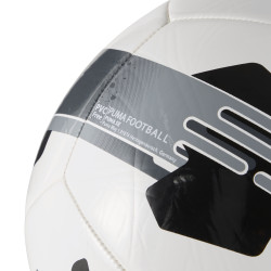 Fotbalový míč Puma Orbita 7 MS
