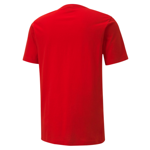 Triko Puma teamGOAL 23 Casuals Tee