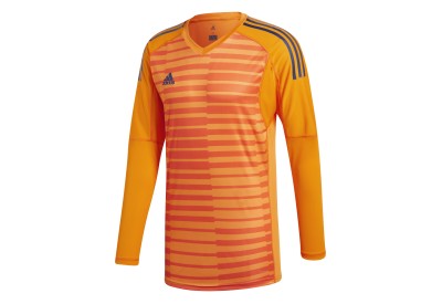 Dětský brankářský dres adidas AdiPro 18