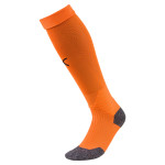 Stulpny Puma LIGA