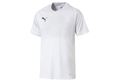 Dres Puma LIGA Core