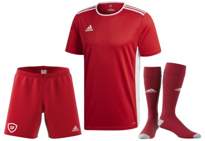 15x dětský fotbalový set adidas Entrada 18 krátký rukáv