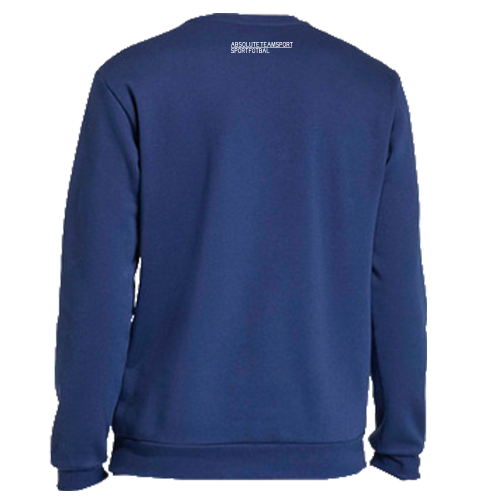 Mikina adidas Entrada 26 SK Rapid Psáry