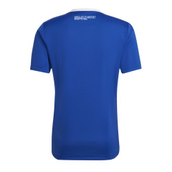 Dres adidas Entrada 22 SK Rapid Psáry