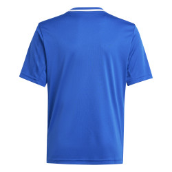 Dětský dres adidas Campeon 25