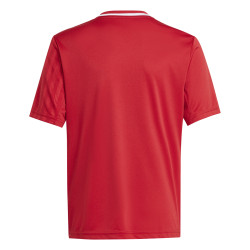 Dětský dres adidas Campeon 25