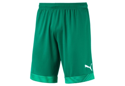 Brankářské trenýrky Puma CUP