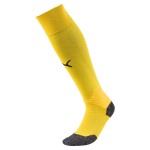 Stulpny Puma LIGA