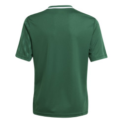 Dětský dres adidas Campeon 25