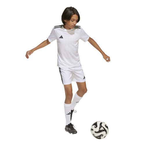 Dětský dres adidas Campeon 25