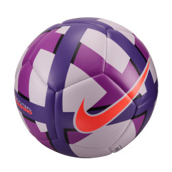 Futsalový míč Nike Maestro