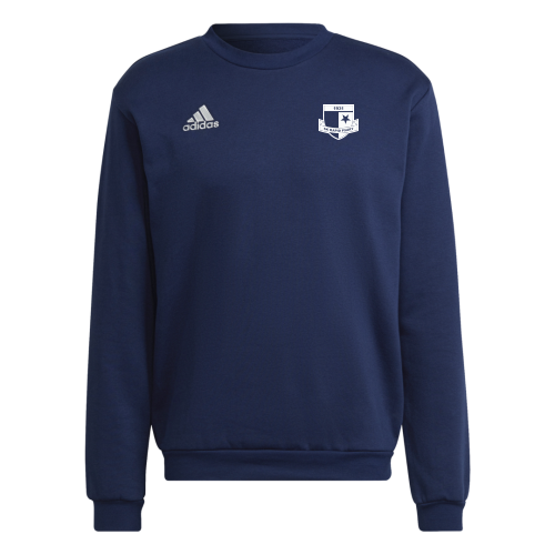 Dětská mikina adidas Entrada 22 Sweat Top SK Rapid Psáry