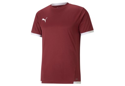 Dětský dres Puma teamLIGA