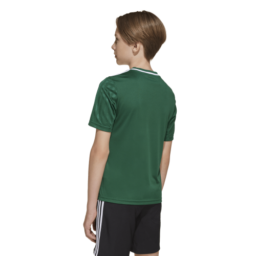 Dětský dres adidas Campeon 25