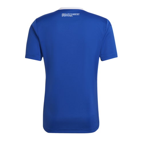 Dětský dres adidas Entrada 22 SK Rapid Psáry