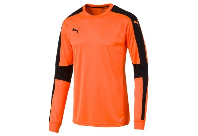 Dětský brankářský dres Puma Triumphant