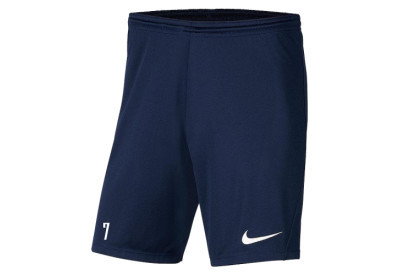 Dětské tréninkové šortky Nike Park III FC Háje