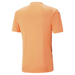 Dres Puma teamULTIMATE