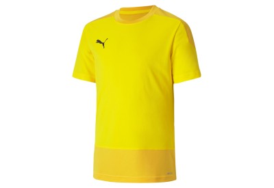 Dětský tréninkový dres Puma teamGOAL 23