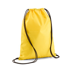 Vak Puma Borussia Dortmund Essentials