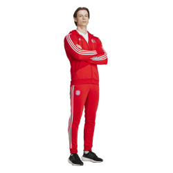 Mikina s kapucí adidas FC Bayern Mnichov DNA