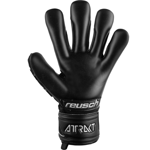 Brankářské rukavice Reusch Attrakt Freegel Infinity