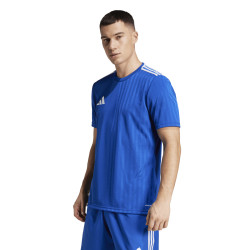 Dres adidas Campeon 25