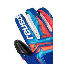 Brankářské rukavice Reusch Attrakt Infinity Evolution NC