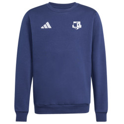 Mikina adidas Entrada 26 SK Rapid Psáry