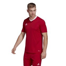 Dres adidas Entrada 22