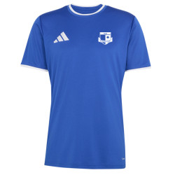 Dětský tréninkový dres adidas Entrada 26 SK Rapid Psáry