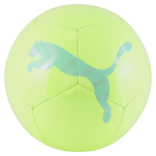 Fotbalový míč Puma ICON
