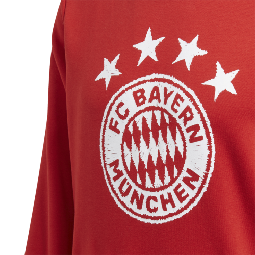 Mikina s kapucí adidas FC Bayern Mnichov DNA Graphic