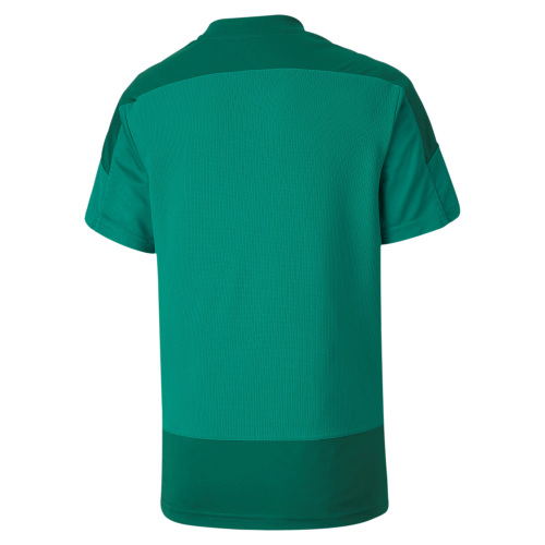 Dětský tréninkový dres Puma teamGOAL 23