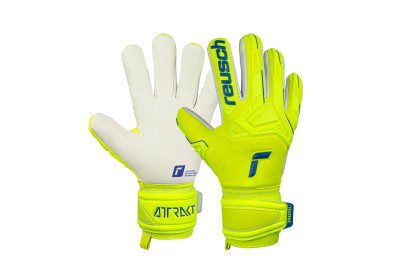 Brankářské rukavice Reusch Attrakt Freegel Silver