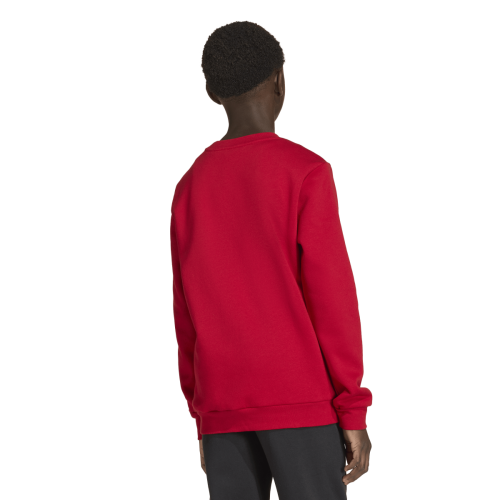 Dětská mikina adidas Entrada 26 Sweat Top