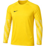Dětský brankářský dres Nike Park V