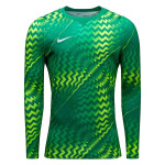 Dětský brankářský dres Nike Gardien VI dlouhý rukáv