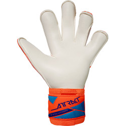 Brankářské rukavice Reusch Attrakt Gold X Evolution