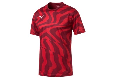 Dres Puma CUP Core