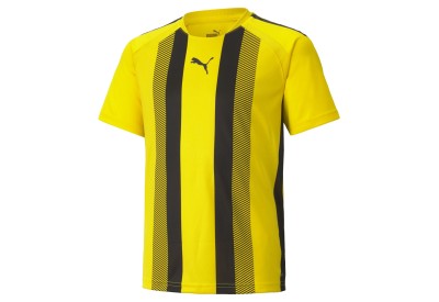 Dětský dres Puma teamLIGA Striped