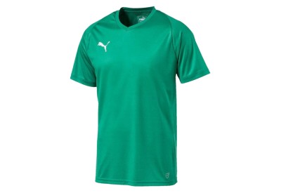 Dres Puma LIGA Core